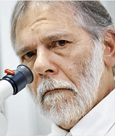 Dr. José Cipolla Neto